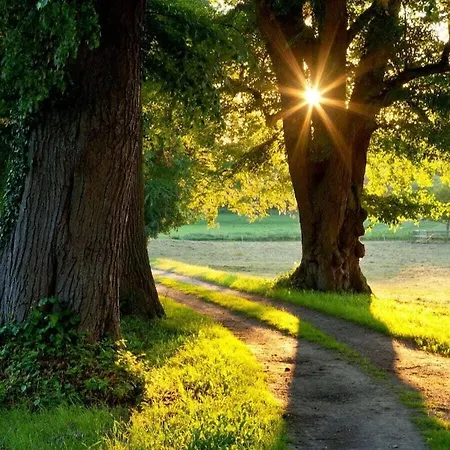 1-room In Ruegeband Dom wakacyjny