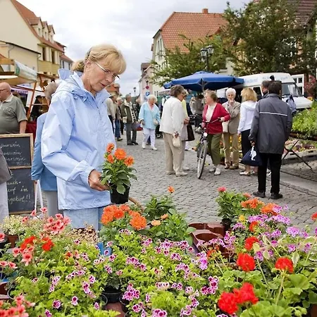 1-room In Ruegeband Dom wakacyjny Waren (Mueritz)