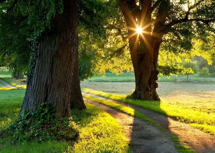 1-room In Ruegeband Σπίτι διακοπών