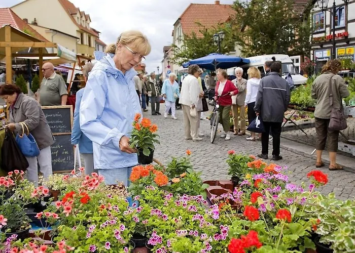 1-room In Ruegeband Σπίτι διακοπών Βάρεν